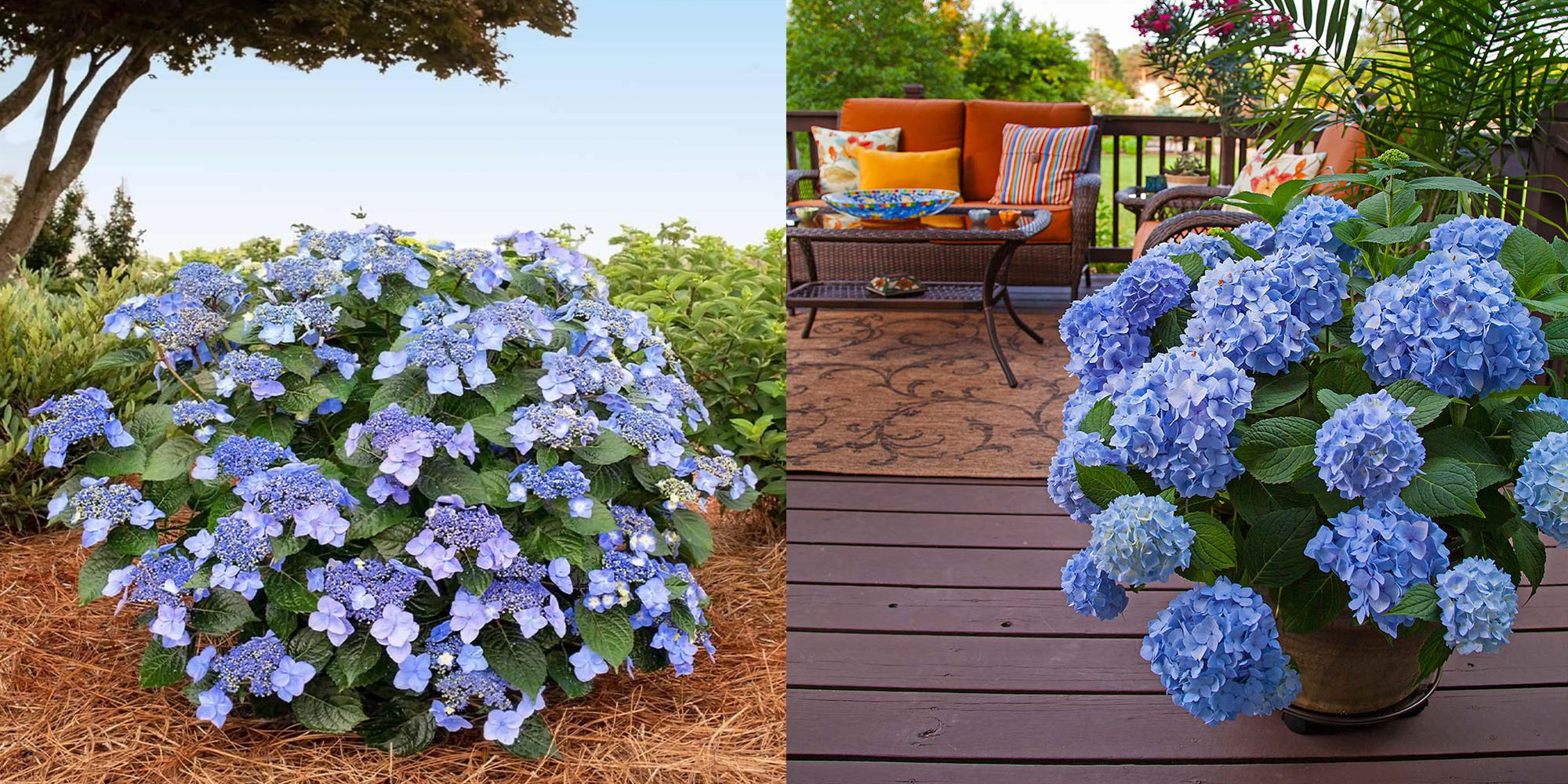 Garden & Outdoor Sale Shop -Garden & Outdoor Sale Shop 14