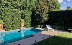 Bay Laurel (Sweet Bay) - Laurus Nobilis - 1 Gallon Pot -Garden & Outdoor Sale Shop Bay Laurel 7