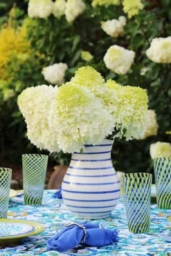 Limelight PeeGee Hydrangea - 3 Gallon Pot -Garden & Outdoor Sale Shop Hydrangea Limelight 106 1