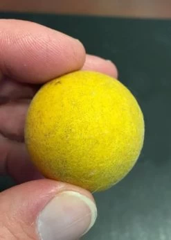 Flying Dragon Hardy Orange Tree - 3 Gallon Pot -Garden & Outdoor Sale Shop Orange Flying Dragon 6