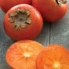 American Persimmon Tree (Diospyros Virginiana) - 3 Pack Of 1.5 Quart Pots -Garden & Outdoor Sale Shop Persimmon American 1 1