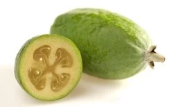 Pineapple Guava - Feijoa Sellowiana - 3 Gallon Pot -Garden & Outdoor Sale Shop Pineapple Guava Fruit