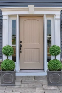 Common Boxwood 2-Ball Poodle Tier Topiary (Buxus Sempervirens) - 3 Gallon Pot (Short) 9 Common Boxwood 2-Ball Poodle Tier Topiary (Buxus Sempervirens) - 3 Gallon Pot (Short) -Garden & Outdoor Sale Shop boxwood two ball poodle tier 2