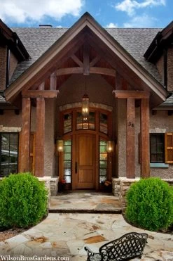 Winterstar Boxwood - 1 Gallon Pot -Garden & Outdoor Sale Shop buxus winterstar boxwood 3 1