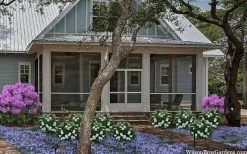 Snow Globe Gardenia - 3 Gallon Pot -Garden & Outdoor Sale Shop gardenia jasminoides snow globe 2