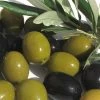 Arbequina Olive Tree - 7 Gallon Pot (3-4') -Garden & Outdoor Sale Shop olive arbequina 5 1